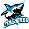 CFU Gaming