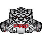 PRO Esports