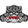 PRO Esports