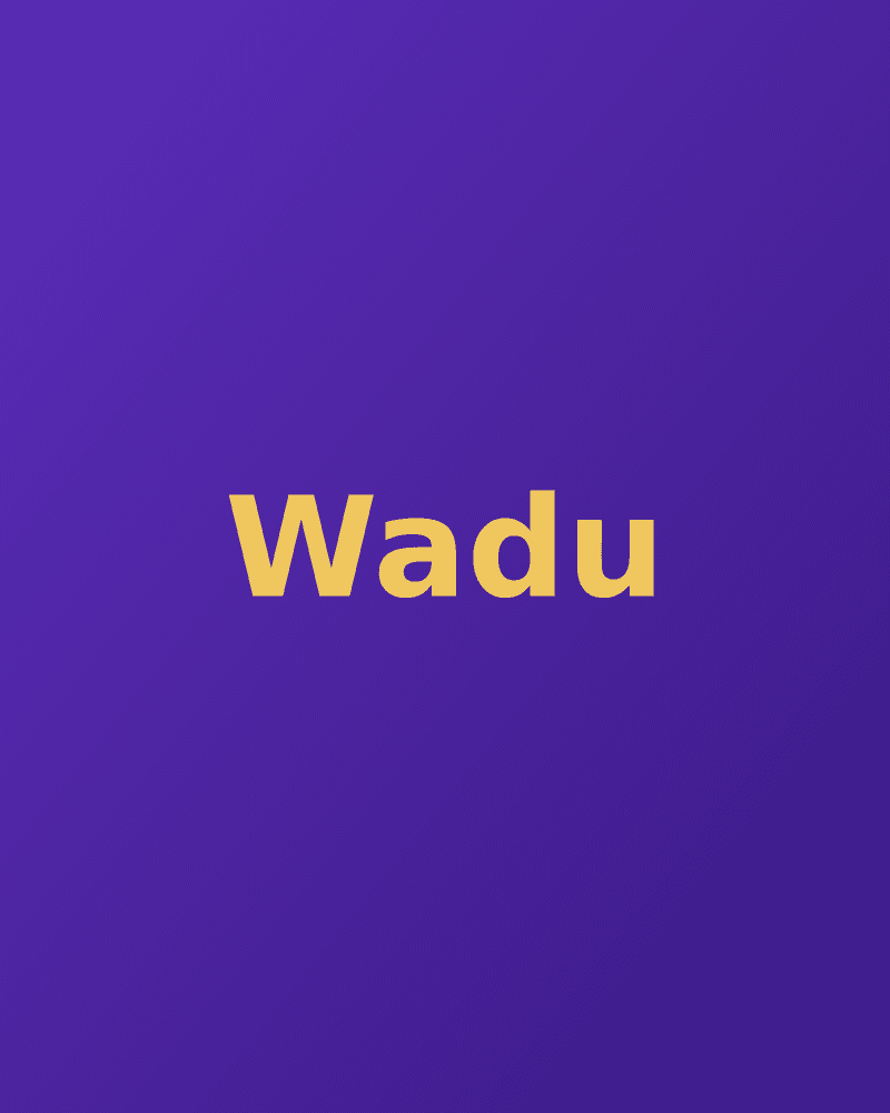 Wadu